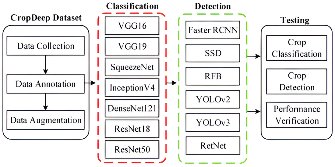 Artificial Intelligence in modern agriculture