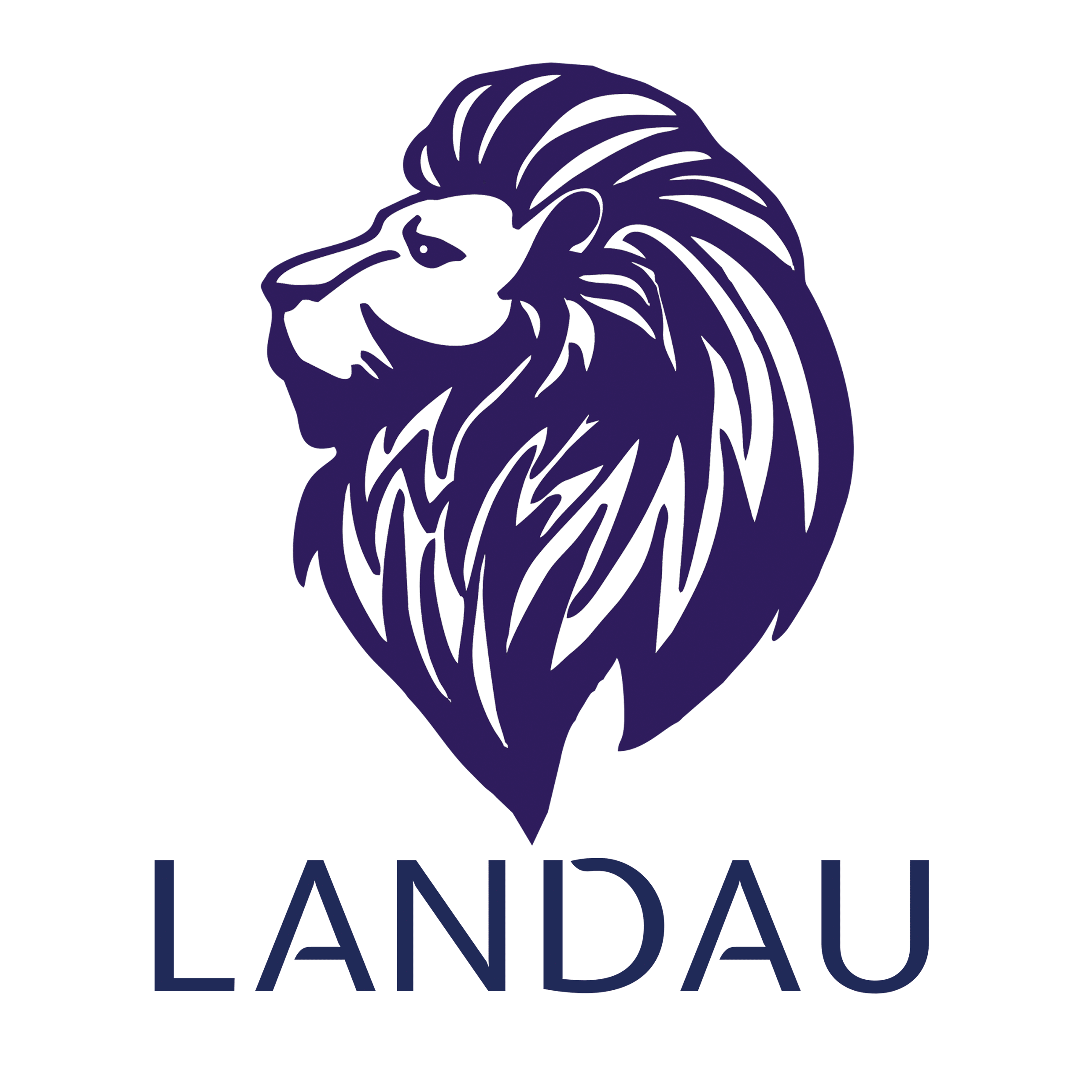 LANDAU_School_logo