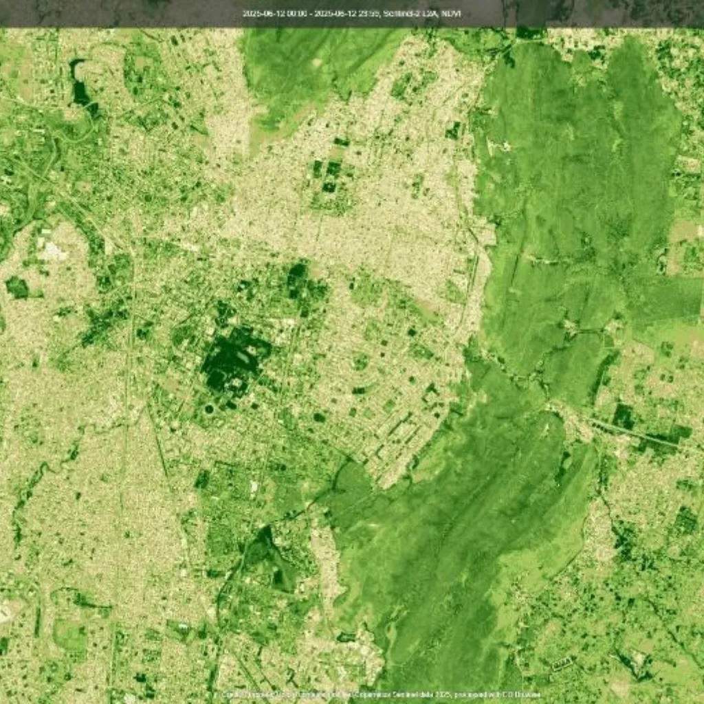 AI for Satellites and Space