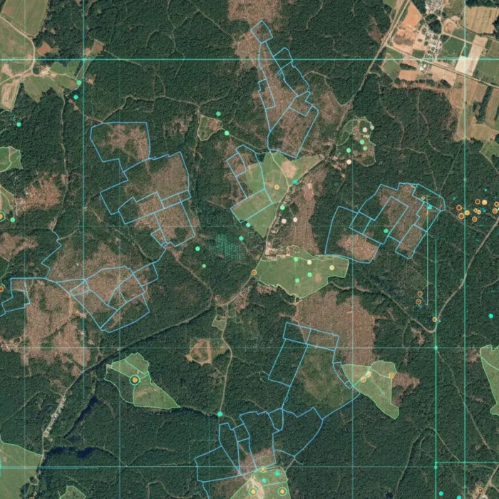 AI-Driven Deforestation Monitoring Using Satellite Data