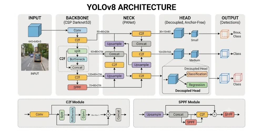 Evolution of YOLO: YOLOv8 to YOLOv26