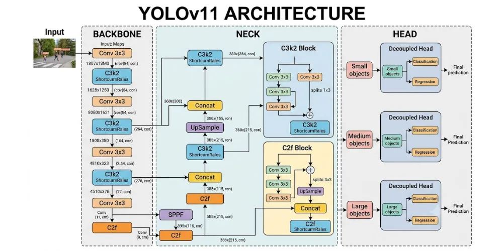 Evolution of YOLO: YOLOv8 to YOLOv26